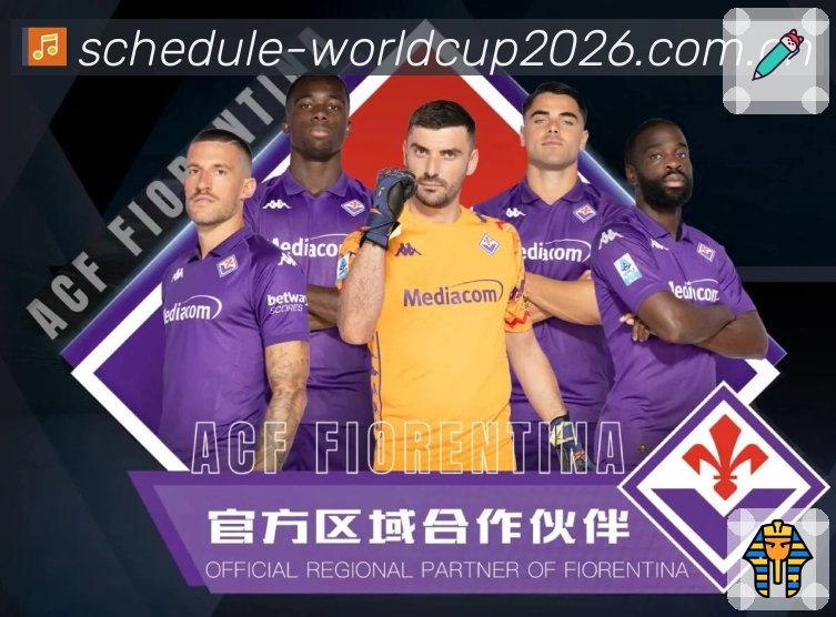 我们的使命与愿景：为每一种观赛习惯而设计